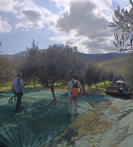 img-20191112-wa0029.jpeg