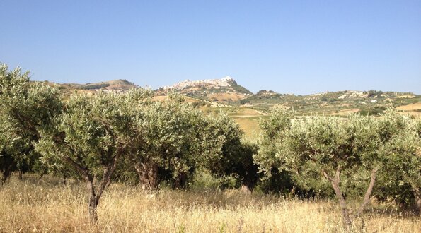 img_0777.jpeg img_0777.jpeg