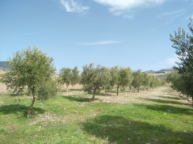 img_20201024_113349.jpeg