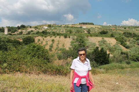 img_6863.jpeg img_6863.jpeg