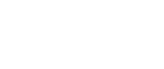 logo originale bianco