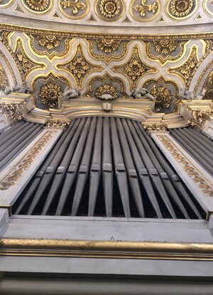 img_4083.jpeg