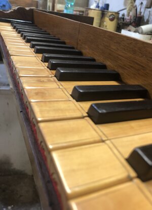 img_5278.jpeg