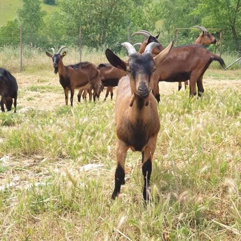 fb_img_1630590287224.jpeg