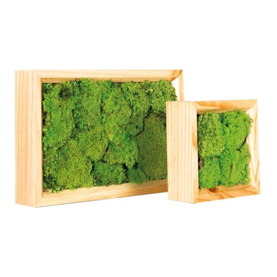 fpm1515-1-deco-frames.jpeg