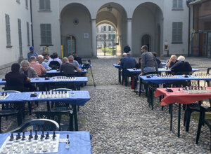 ha11ok-chess-1215079_1920.jpeg