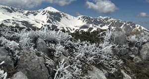 img_7232.jpeg