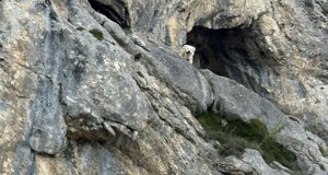 img_7357.jpeg
