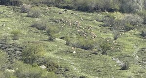 img_7549.jpeg