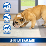 out-vai-qui-assorbenti-pad-per-cani-e-cuccioli-confezione-da-100