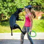 giocattoli-per-cani-dischi-volanti-per-animali-domestici-eva-dog-training-ring-puller-giocattoli-resistenti-per-cani-galleggiante-puppy-bite-ring-toy-interactive