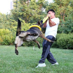 giocattoli-per-cani-dischi-volanti-per-animali-domestici-eva-dog-training-ring-puller-giocattoli-resistenti-per-cani-galleggiante-puppy-bite-ring-toy-interactive