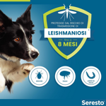 seresto-collare-antiparassitario-per-cani-oltre-8-kg-elimina-pulci-zecche-pidocchi-e-protegge-dal-rischio-di-trasmissione-della-leishmaniosi-fino-a-8-mesi