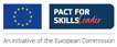 pfs-leader-badge-full-colour-03