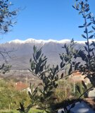 gavedo%20castello.jpeg
