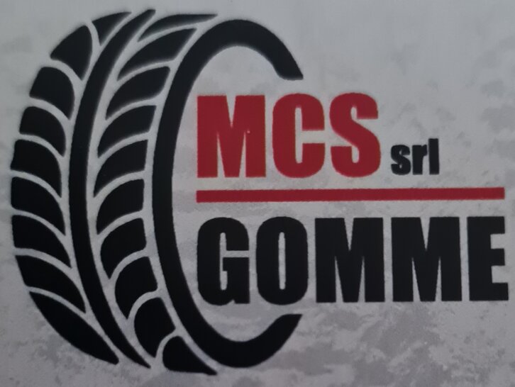 logo mcs.jpeg