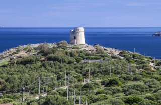 cala-domestica-beach-sardinia-italy169627931.jpeg.webp cala-domestica-beach-sardinia-italy169627931.jpeg.webp