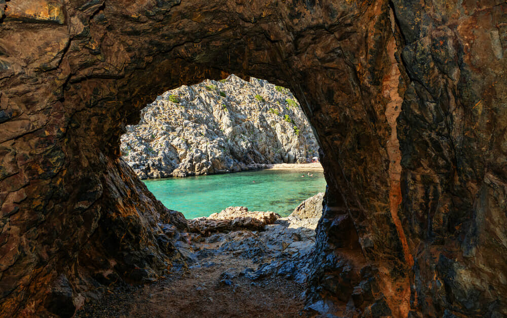 cala-domestica_1675067164.jpeg cala-domestica_1675067164.jpeg