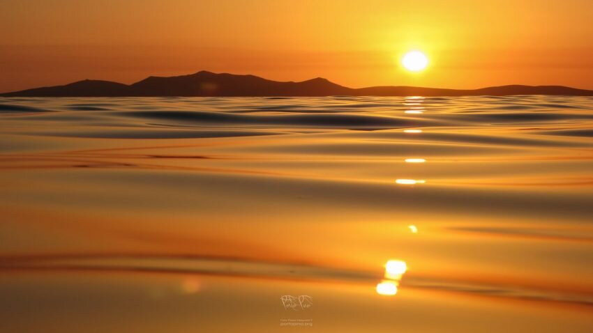 porto-pino-tramonto.jpeg
