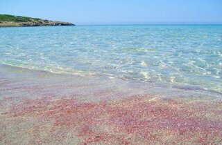 spiaggia-di-fontanamare-beach-costa-sud-ovest-sardegna-italia-98895244.webp spiaggia-di-fontanamare-beach-costa-sud-ovest-sardegna-italia-98895244.webp