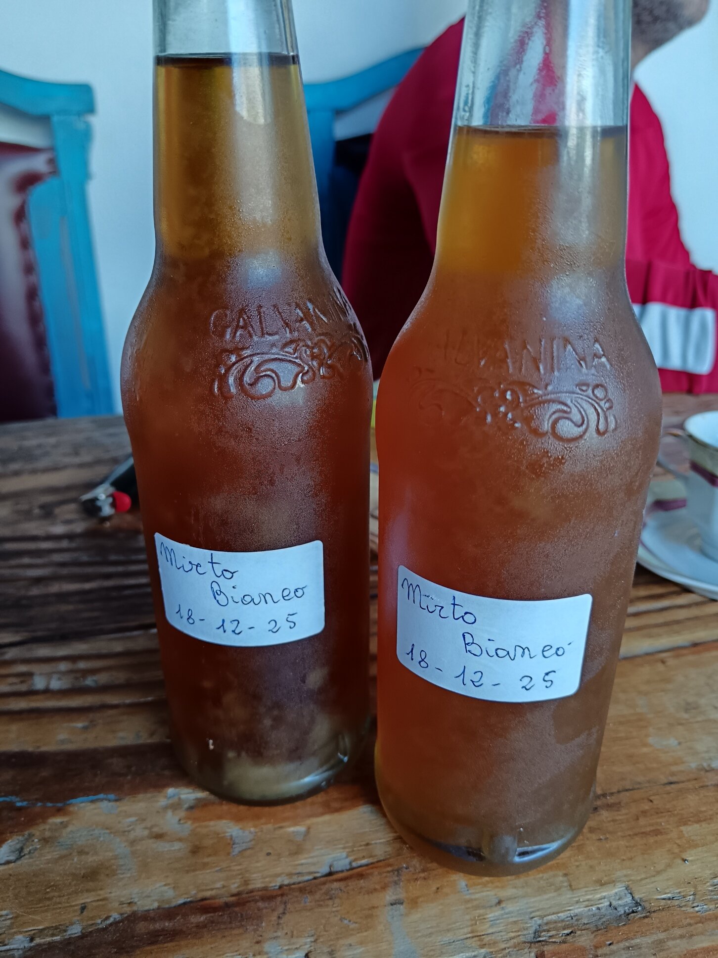 ESPERIENZE AUTENTICHE Il mirto nel Sulcis &mdash; profumi, tradizioni e cultura mediterranea