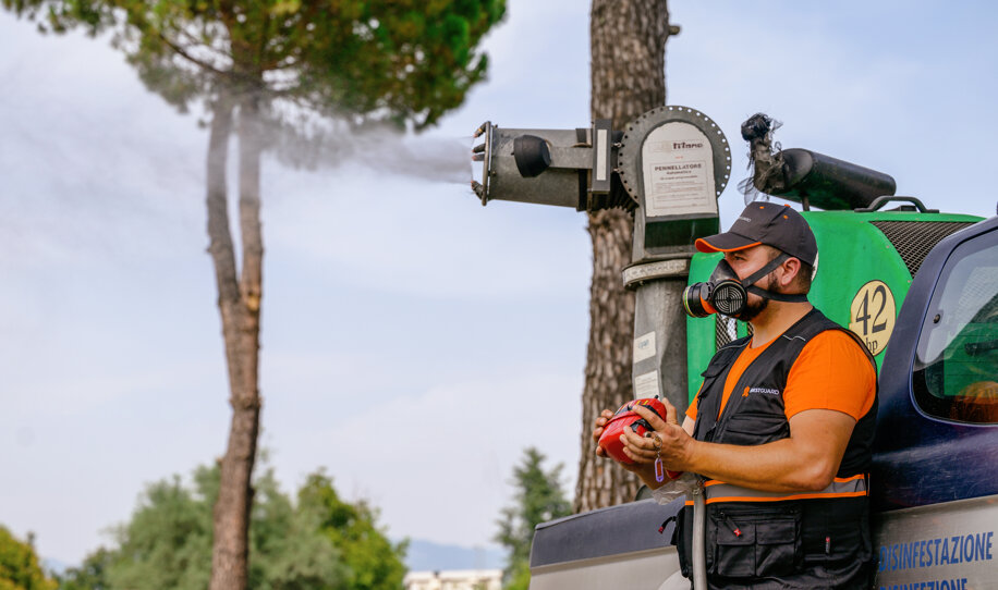 nz6_4410.jpeg nz6_4410.jpeg