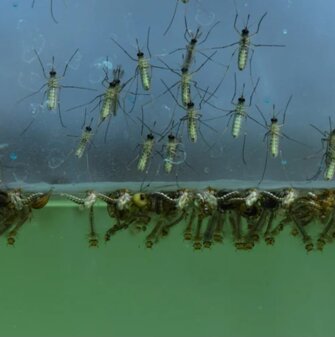 edcbace9-938c-45a3-8c7b-250654f87acb.jpeg edcbace9-938c-45a3-8c7b-250654f87acb.jpeg