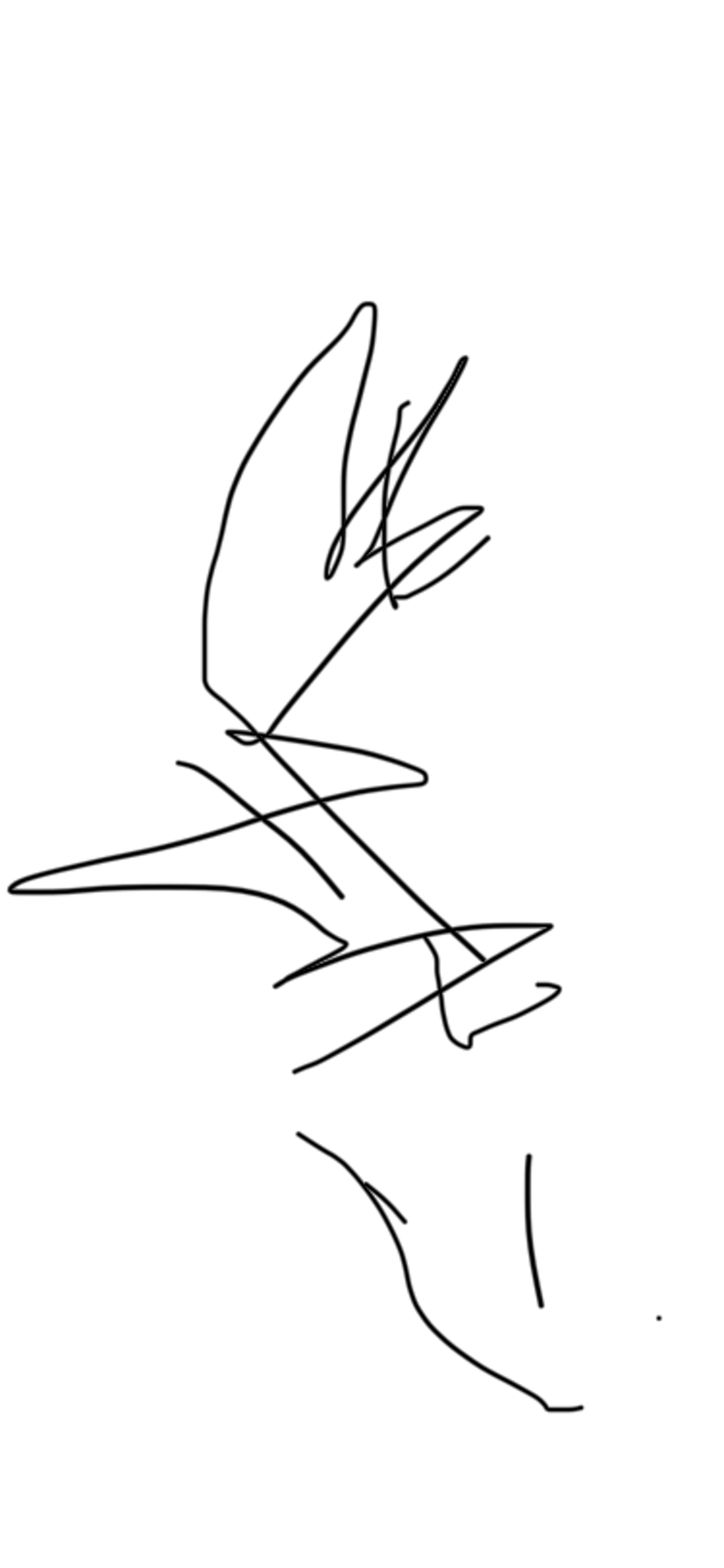 senza nome