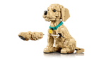 lego-icons-11384-cucciolo-di-golden-retriever
