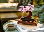 lego-creator-expert-10281-albero-bonsai