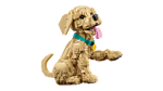 lego-icons-11384-cucciolo-di-golden-retriever
