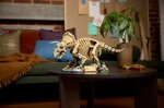 lego-jurassic-world-77985-fossili-di-dinosauro-triceratopo