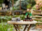 lego-creator-expert-10281-albero-bonsai
