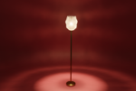 bloom01