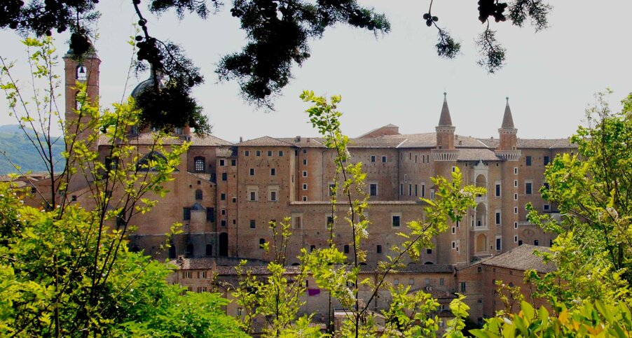 urbino.jpeg urbino.jpeg