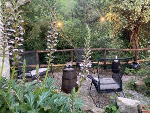 img_7345.jpeg img_7345.jpeg