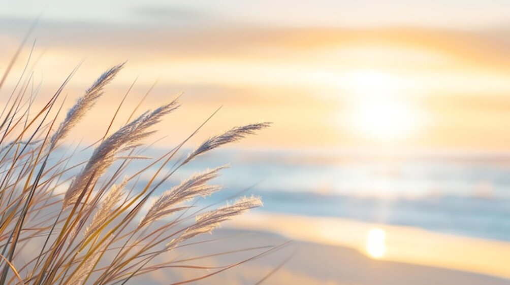 tramonto-sulla-spiaggia-ai-generato_268835-11222.jpeg
