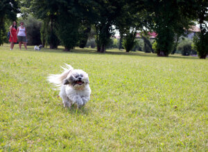 img_9408.jpeg