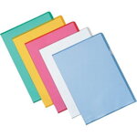 busta-a-l-esselte-22x30-cm-antiriflesso-100-pz