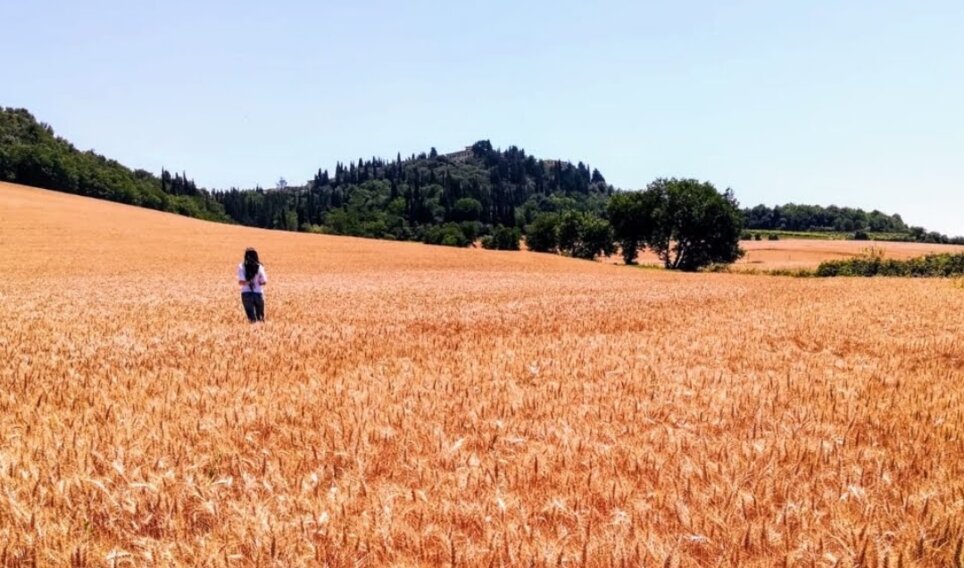 io e grano.jpeg io e grano.jpeg