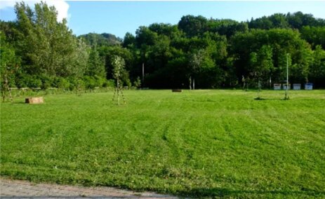 parco abate .jpeg