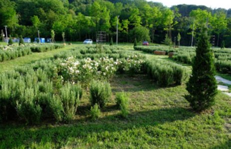 giardino all'inglese 2.jpeg