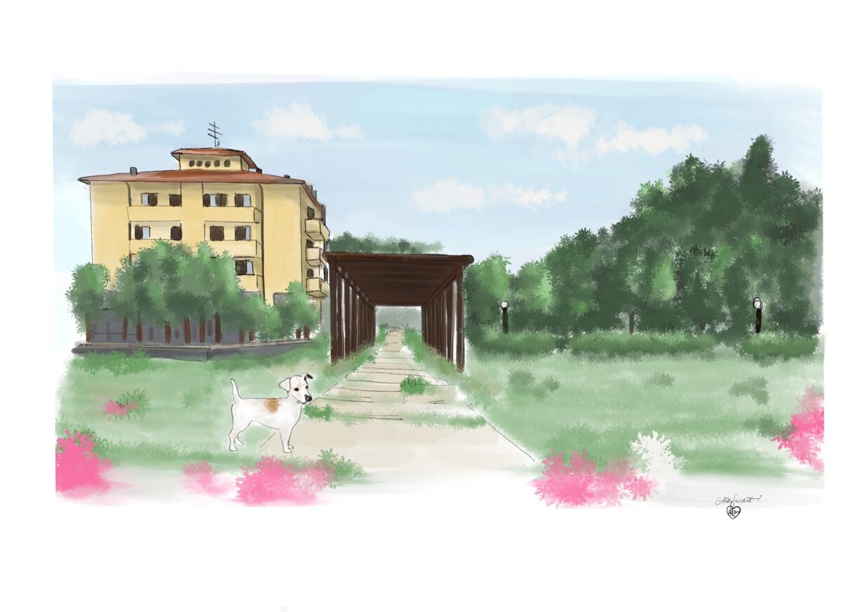 daisy nel parco .jpeg daisy nel parco .jpeg