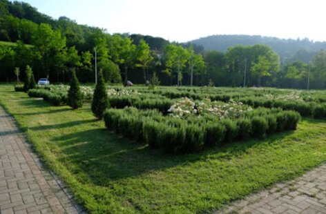 giardino all'inglese .jpeg