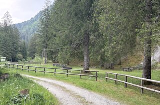 img_6501.jpeg