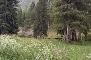 img_6504.jpeg