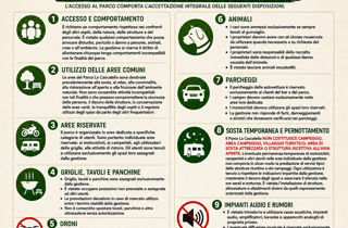 8a165831-d267-43d4-bb99-2f95ca1ae984