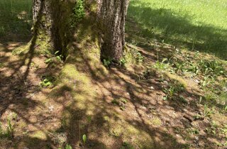 img_6669.jpeg
