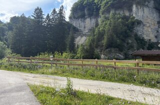 img_6668.jpeg