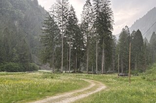 img_6500.jpeg